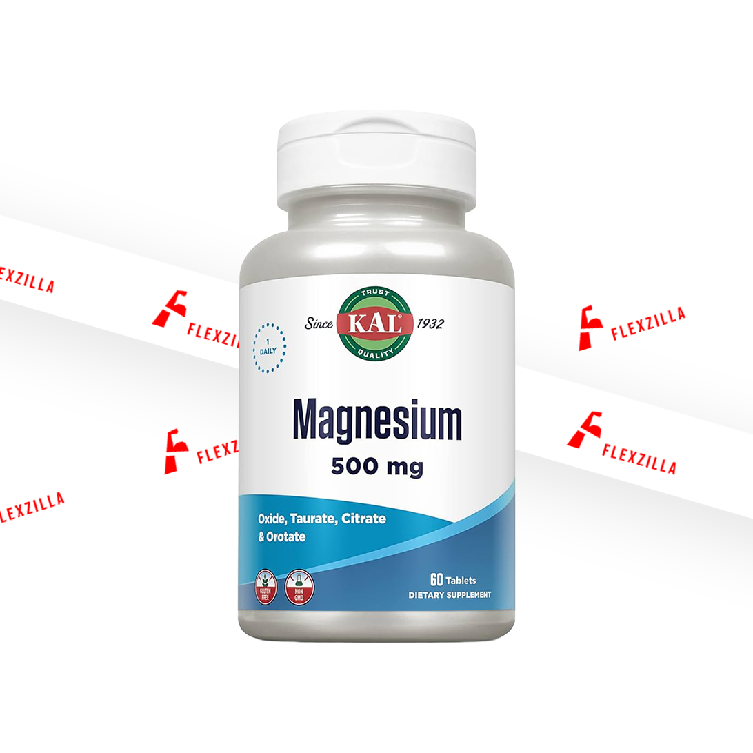 KAL MAGNESIUM 500 MG